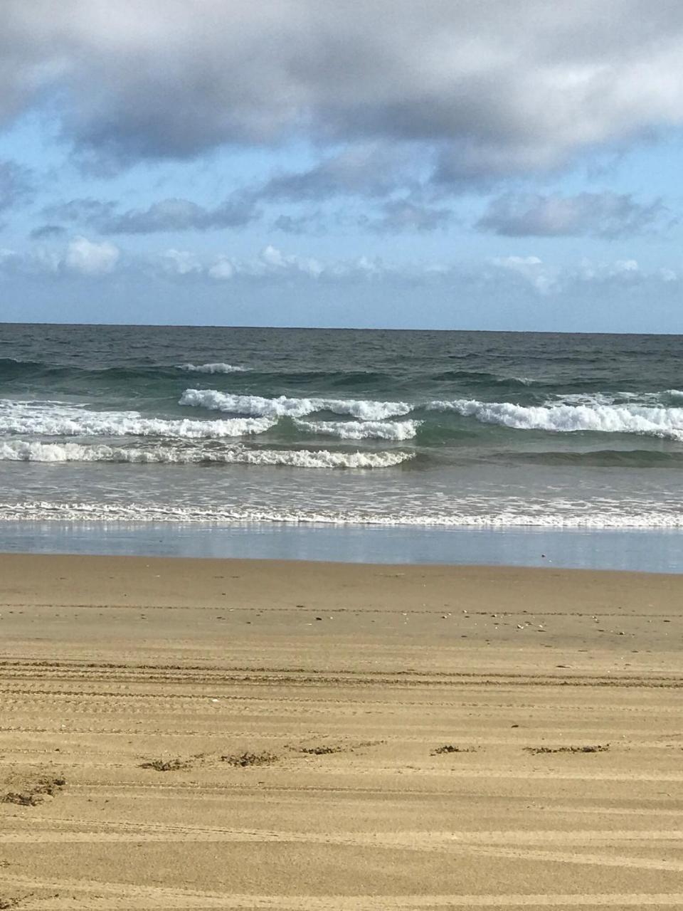 Hill'S Hideaway Hotel Dargaville Bagian luar foto